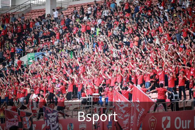 Bsport 公司简介